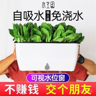 ✨廠商直髮✨ 陽臺種菜專用盆自動吸水花盆長方形長條塑膠花盆種植箱大號懶人盆