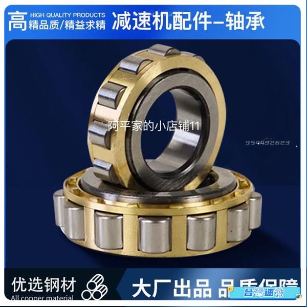 台灣出貨￥減速機專用偏心軸承RN205 206 307 308 309 312 222 219耐磨