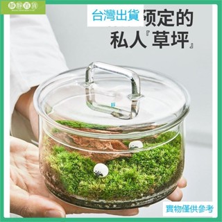 臺灣出貨帶蓋可疊高創意微景觀植物苔蘚生態瓶鮮活青苔趣味盆栽綠植DIY裝飾擺件高透明玻璃碗可疊加收納罐展示盒