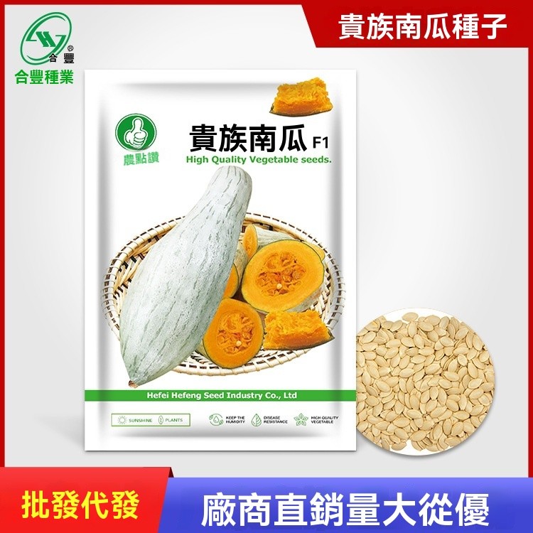 新疆貴族南瓜種子沙漠醜南瓜種籽闆慄味南瓜種孑閤豐種業廠家批發 植韻花園
