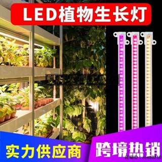 全場優惠🔅植物生長燈LED植物生長燈管植物櫥櫃燈條USB可調光定時燈室內家用水培植物燈條溫室培育種植定時調