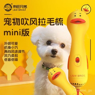 狗狗吹風拉毛神器 寵物吹風機 寵物毛髮護理 寵物拉毛機 一體烘幹吹風機 貓咪蓬鬆梳毛器泰洗澡