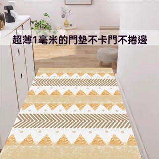 桃園出貨 入戶超薄1mm 不卡門地墊 現代家居防水可擦免洗地毯 進門口防滑腳墊 衛生間 衛浴 廚房墊 廚房 臥室 淋浴