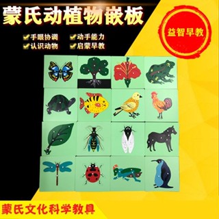 ★BY65★正品蒙氏動植物拼圖蒙臺梭利嵌板兒童益智玩具大樹魚鳥花
