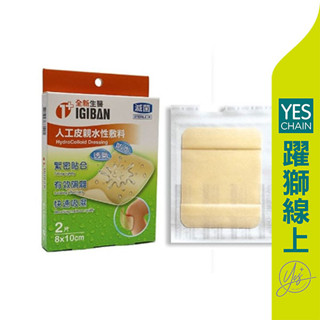 全新 親水性膚料(滅菌) 人工皮8x10/1入【躍獅線上】