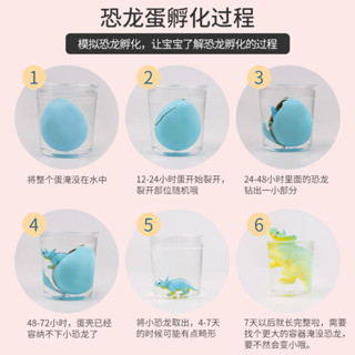 兒童玩具 恐龍玩具 恐龍蛋孵化蛋新奇特泡大膨脹變形模擬動物模型創意兒童泡水小玩具