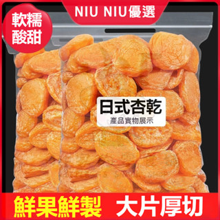 ✨歷史低價✨日式無核紅杏乾 500g 杏仁果脯 天然原味無新增 健康果乾非蜜餞 軟糯酸甜 老人孕婦皆宜