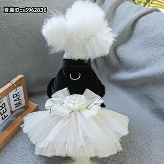 熱賣🔥免運春季新品小狗狗衣服春秋新款公主風絲絨禮服裙連衣裙比熊博美泰迪馬爾濟斯寵物衣服貓咪衣服狗狗衣服兔子