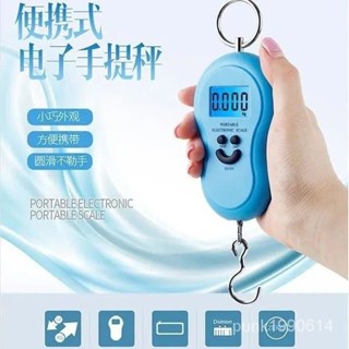 24H⚡臺灣出貨🚚手提電子秤 掛鈎秤家用吊鈎便攜式彈簧高精度彈簧秤 迷你超小掛稱精準手提 IILX
