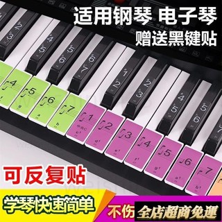 臺灣發貨🎉鋼琴貼紙 88/61/54鍵盤貼兒童彩色琴鍵貼紙通用電子琴鍵盤保護貼音符貼紙鋼琴貼紙入門五綫譜音符條 初學簡