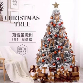 2024新款聖誕樹家用加密1.5/1.8/2.1米高階感落雪聖誕節裝飾套裝鴻達生活舘