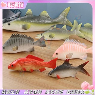 ✨模擬模型 模擬魚模型道具鯉魚鱸魚海參食物食品擺件櫥窗展廳擺設拍攝道具 拍照攝影道具 模擬食物 模擬水果 全新
