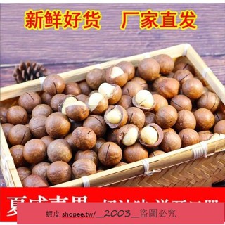 新店特銷 優選夏威夷果 新貨夏威夷果500g/250g 散裝 堅果 休閒零食 奶油味夏威夷 年貨小吃蝦皮
