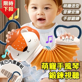嬰兒手風琴玩具 嬰兒玩具 寶寶玩具 音樂玩具 樂器玩具 兒童樂器 鬨娃神器 寶寶安撫 寶寶樂器 幼兒樂器 手拉音樂玩具