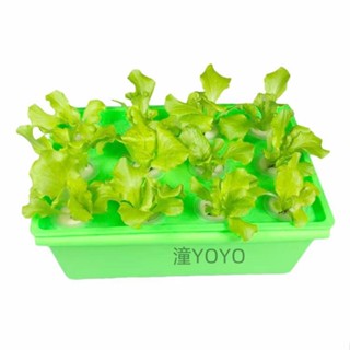 12孔水耕箱 贈送定植籃定植棉 水培箱 無土種植 家庭種菜 水耕蔬果 空中花園藝世界 潼YOYO