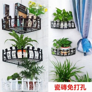 【臺灣出貨】優選品控 鐵藝花架 壁掛轉角墻上花架 墻角置物架 綠蘿吊蘭架 多功能三角置物架
