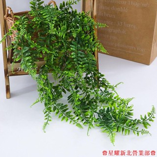 嘉義出貨♕模擬壁掛 波斯草藤條 人造懸掛蕨類植物藤蔓懸掛 綠色植物