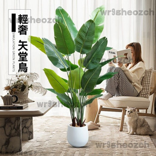 仿真植物 北歐綠化盆栽模擬盆栽 大型盆栽 高階假植物 室內盆栽 仿真花 模擬盆栽 室內植物 植物擺飾 綠化植物 假植物