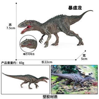 🥂模擬動物🥂恐龍玩具兒童男孩模擬實心恐龍模型電影衕款暴虐龍霸王龍動物模型