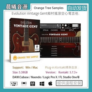 【音色音源】橘子樹60年代鄉村搖滾空心電吉他Evolution Vintage Gent含效果器