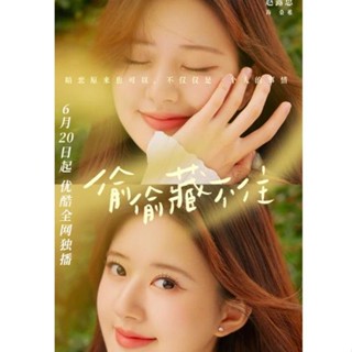 電視劇 偷偷藏不住 1-25全集 趙露思 陳哲遠USB數位檔非DVD