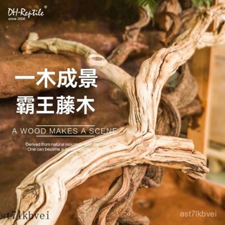 爬寵 飼養箱造景 造景躲避屋 爬蟲造景食水盆 造景 爬寵模擬造景 模擬躲避洞穴 爬寵攀爬木霸王藤木熱帶雨林爬寵造景素材藤