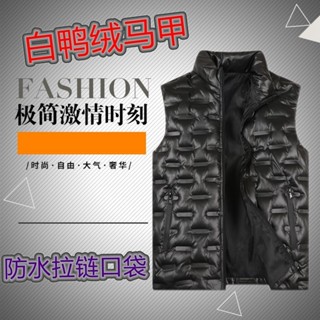 亮面羽絨馬甲男秋冬季立領外穿輕薄坎肩士休閑外套男士保暖馬甲保暖背心 馬甲背心 羽絨棉背心 外套背心 鋪棉馬甲外套 坎肩無