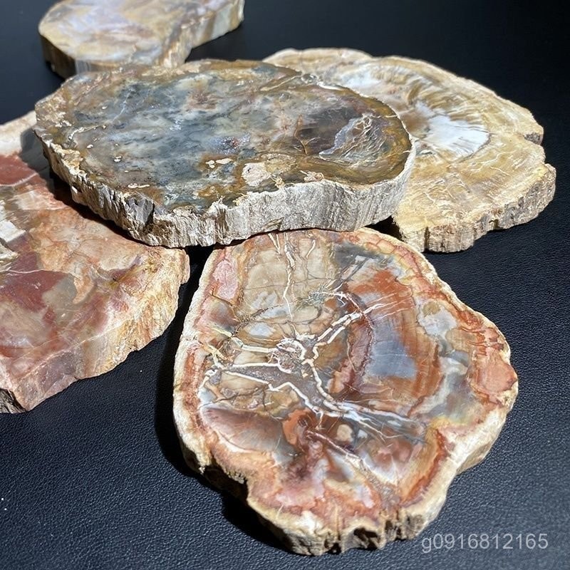 純天然木化石原石切片木化石擺件魚缸造景石家居擺飾能量療癒石