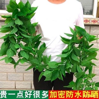 💕桃園出貨💕模擬藤條綠 蘿葉塑膠假花 裝飾室內綠藤蔓植物假樹葉壁掛遮擋綠葉子