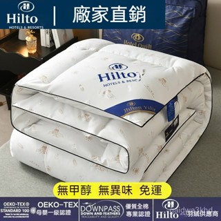 【全網✨最低】羽絨被 95%鵝絨冬被 白鵝絨 羽絲棉被 羽絨被子 被芯被胎 雙人被 保暖被 被子 棉被