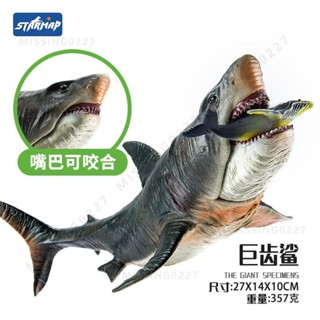 【動物模型】星圖巨齒鯊玩具 滄龍模擬動物模型 海洋真鯊魚恐龍玩具男孩兒童禮物 早教認知禮物
