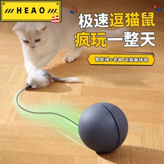 【限時下殺！ 精品優選】貓玩具老鼠 自海解悶消耗體力老鼠逗貓棒 貓咪玩具運動電動逗貓球 自動逗貓球 自81