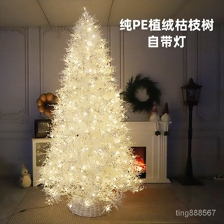 聖誕新品免運費~2024新款純pe聖誕樹枯枝樹植絨聖誕樹自帶燈雪域精靈聖誕樹全pe落雪樹 r2ca