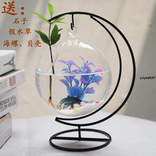 🔥熱銷🔥懸掛小魚缸迷你缸辦公桌麵創意玻璃小型金魚缸水族箱 家用鬥魚缸
