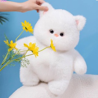 ❤熱賣❤23cm白色貓咪玩偶 喵喵公仔 可愛白色貓咪 毛絨玩具 小貓公仔玩偶 軟萌貓咪 生日禮物