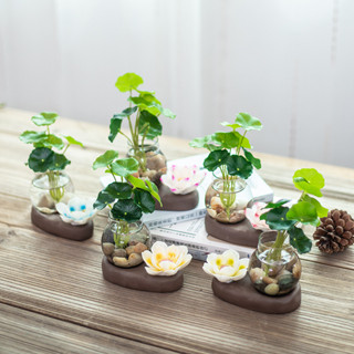 「花瓶」創意玻璃擺件迷你水培植物器皿辦公客廳茶幾綠蘿花插花瓶陶瓷容器