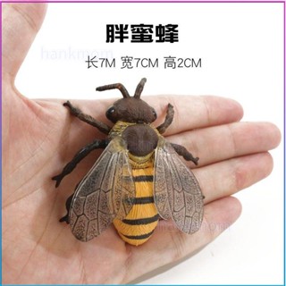 實心兒童模擬動物昆蟲玩具野生動物模型 蜜蜂模型成長週期教具