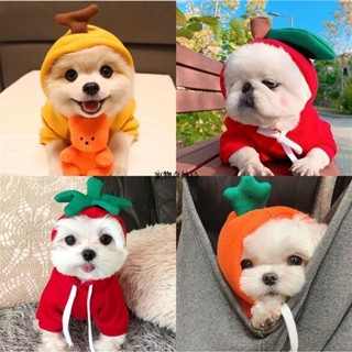 😸獨寵一身 可愛超萌寵物衣服 聖誕節蘋果水果造型小狗衣服 卡通造型狗狗寵物變身裝 泰迪博美幼犬衣服 貓咪衣服 純棉舒適