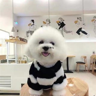😸獨寵一身 可愛卡通寵物衣服 保暖秋冬狗狗衣服 寵物冬天衣服 狗狗保暖衣 貓咪保暖衣 純棉舒適 寵物毛絨保暖衣