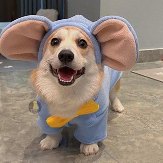 🐕‍🦺寵到家 柯基衣服秋冬款加厚保暖中型小型犬比熊雪納瑞馬甲柴犬狗狗冬季衣 寵物服裝 寵物衣服 搞怪衣服