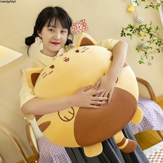 2025新款抱枕✨💞爆款可愛貓咪抱枕坐墊貓餅靠枕毛絨玩具公仔大臉玩偶生日禮物女生靠墊