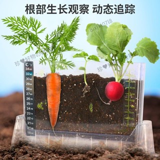 ✨臺灣熱賣✨陽光房兒童種植小盆栽科學小實驗套裝植物生長觀察盒手工diy玩具