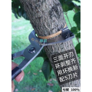 🔥臺灣出貨 藤原環割刀 環剝剪器 鉗騸蘋果棗樹果樹剝皮刀 園林工具割樹皮開甲刀 開甲刀 果樹環割刀 手動剝樹皮輔助工具器