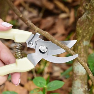 現時特賣不銹鋼樹枝修枝剪摘果剪花木剪刀園林果樹花卉枝嫁園藝小剪刀工具 多功能 園藝剪刀 剪樹刀 樹枝剪刀 省力 工具剪刀