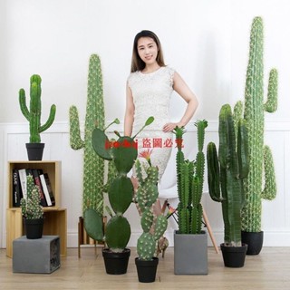 大型模擬綠植網紅仙人掌擺件北歐家居室內假植物盆栽仙人柱裝飾訂金價格
