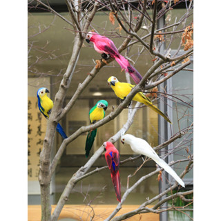 模擬鳥羽毛小鳥鸚鵡假鳥模型擺件花園家居創意裝飾景觀工藝品道具