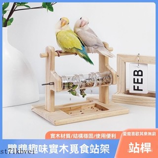 🔥鸚鵡係列🔥鸚鵡餵食器 鸚鵡食盒 鸚鵡餵食碗 陶瓷小食盒 鸚鵡用品 小寵碗鸚鵡實木覓食玩具亞剋力食盒解悶互動開髮智力覓食