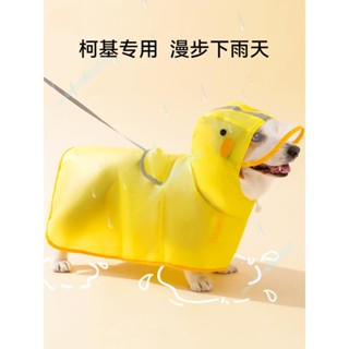 寵物衣服 狗狗衣服 寵物保暖 柯基犬專用狗狗雨衣中小型犬泰迪雪納瑞柴犬寵物雨天衣服防水肚兜 換季特惠
