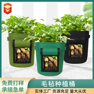臺灣出貨︱植物種植袋 加厚 無紡布美植袋 黑色圓形營養毛氈土豆種植桶禮品袋 節日送禮 送禮專用 禮物袋子 手提袋子 GY