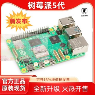 熱銷 樹莓派5代Pi5開發板Raspberry Pi4B5B套件Python程式設計Linux小電腦